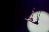 dscf8487_small.jpg