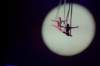 dscf8493_small.jpg
