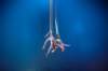 dscf8520_small.jpg